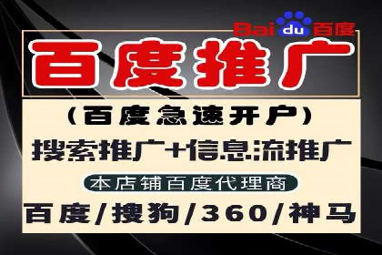 SEM推广技巧：实战案例教你打造爆款产品